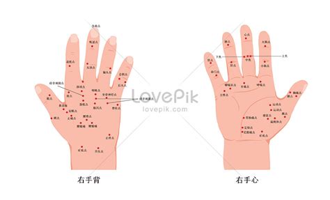 手心|手心 : palm (of ones ... : shǒu xīn 